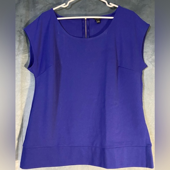Ann Taylor Sleeveless Solid Blue Top Minimalist Style Simple Elegance - Picture 1 of 7